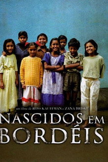 Nascidos em Bordéis