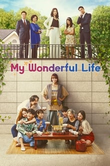 Poster da série My Wonderful Life