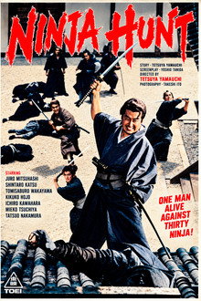 The Ninja Hunt