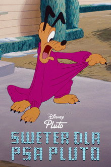 Sweter dla psa Pluto