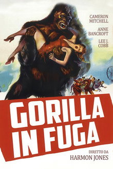 Gorilla in fuga