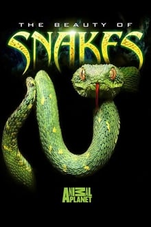 Poster do filme The Beauty of Snakes