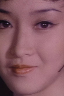 紅樓春上春