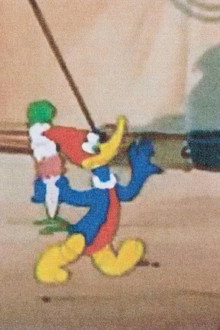 The Dizzy Acrobat