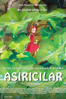 Aşırıcılar