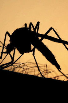 What's Next? The Future with Bill Gates - Season 1