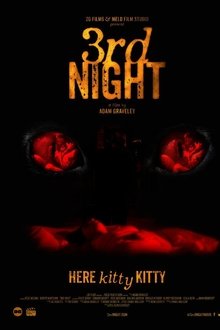 3rd Night 3rd Night