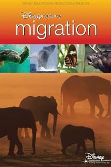 Poster do filme Disneynature: Migration