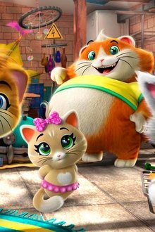 44-Cats