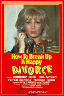 Poster do filme How to Break Up a Happy Divorce