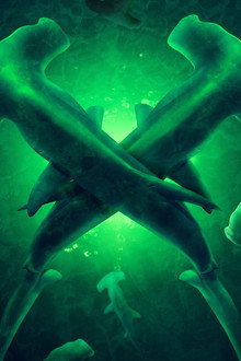 Monster Hammerheads: Species X