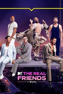 Poster da série The Real Friends of WeHo