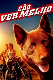 Poster do filme Cão Vermelho