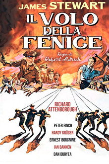 Il volo della fenice