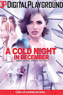 A Cold Night in December