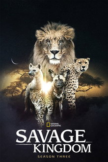Season 3