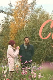 Aku Cinta Dia