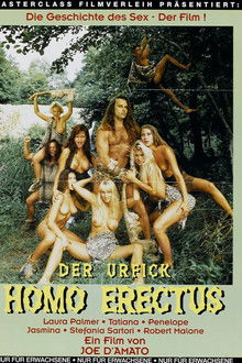 Homo Erectus