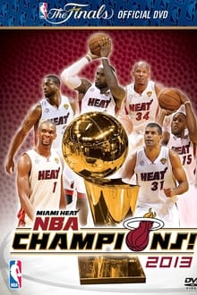 2013 NBA Finals tv show poster