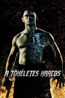 A tökéletes harcos