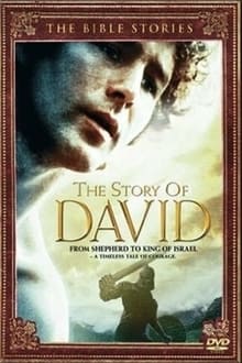 Poster do filme The Story of David