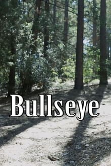Poster do filme Bullseye