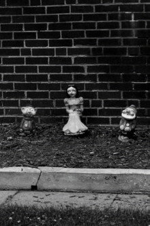 empty alice