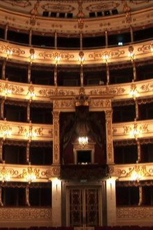 Verdi's Backyard