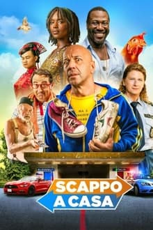 Poster do filme Scappo a casa