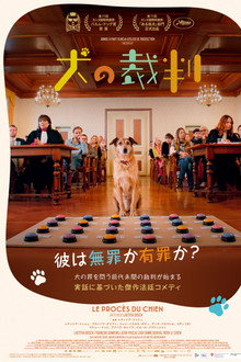 犬の裁判
