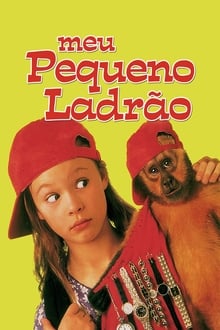 Poster do filme Meu Pequeno Ladrão