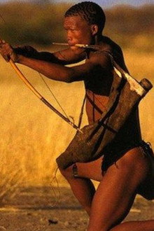 Le monde selon Tippi