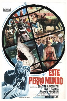 Este perro mundo