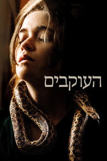 העוקבים