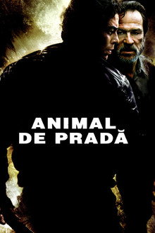 Animal de pradă