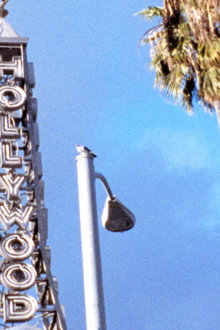 Los Angeles Plays Itself