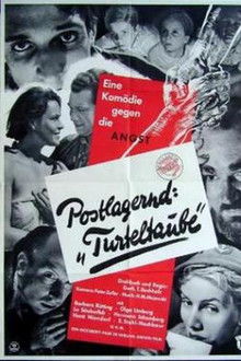 Postlagernd Turteltaube