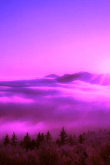 Purple Leone