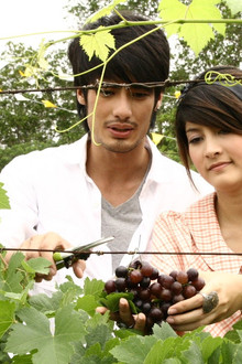 วายุภัคมนตรา