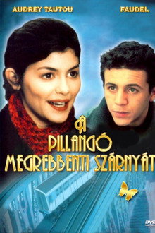 A pillangó megrebbenti szárnyát