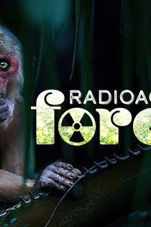 Radioactive-Forest-10-Years-After