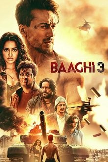 Baaghi 3