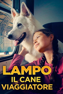 Lampo il cane viaggiatore
