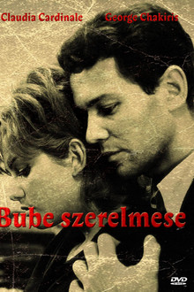 Bube szerelmese