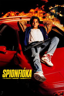 Spionfióka