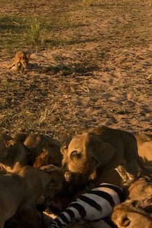 Surviving the Drought