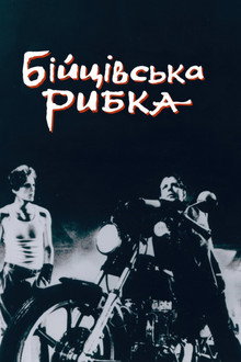 Бійцівська рибка