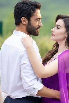 Kuma - The Other Wife