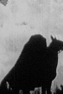 The Headless Horseman