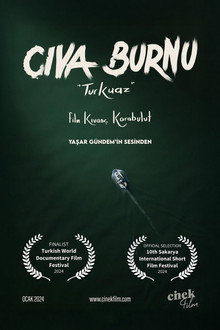 Cıva Burnu 